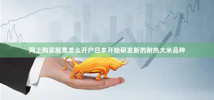 网上购买股票怎么开户日本开始研发新的耐热大米品种