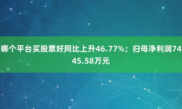 哪个平台买股票好同比上升46.77%；归母净利润7445.58万元